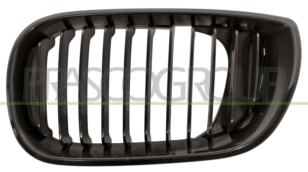 Prasco Schwarz Kühlergitter Bm0202024