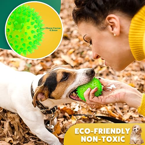 2 Different Functions Interactive Balls for Dogs 25 Squeaky Dog Balls Toys and Puppy Teething Chew Toy Balls for Small Dogs Dog Balls for Clean Teeth and Training 5pcs  Cucciolini Doodles 2 different functions interactive balls for dogs 2 5 squeaky dog balls toys and puppy teething chew toy balls for small dogs dog balls for clean teeth and training 5pcs   cucciolini doodles