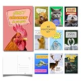 Imperial Designs 40 Pack Funny Punny POSTCARDS (4"x6") - Say I Miss You, Hello, Thank You, Thinking of You with a Fun Animal Pun by Mail - Bulk Postcards for Parents, Grandparents, Summer Camp