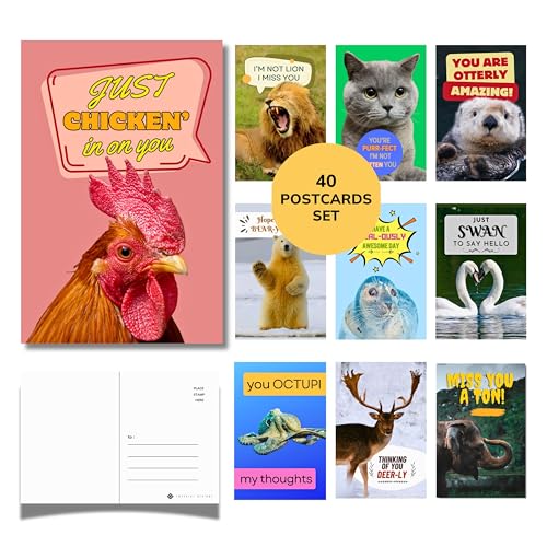 Imperial Designs 40 Pack Funny Punny POSTCARDS (4"x6") - Say I Miss You, Hello, Thank You, Thinking of You with a Fun Animal Pun by Mail - Bulk Postcards for Parents, Grandparents, Summer Camp