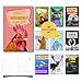 Imperial Designs 40 Pack Funny Punny POSTCARDS (4"x6") - Say I Miss You, Hello, Thank You, Thinking of You with a Fun Animal Pun by Mail - Bulk Postcards for Parents, Grandparents, Summer Camp