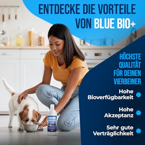 NatiVivo Premium Lachsöl 1000ml – hochwertiges Fischöl für Hunde, Katzen & Pferde – reich an Omega 3 & 6 Fettsäuren – naturbelassenes Barföl für Hunde