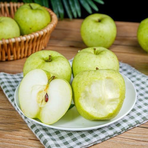Nel mio negozio sono presenti anche semi di fiori, semi di ortaggi, semi di erbe aromatiche, semi di frutta, bulbi di fiori e altri prodotti come:semi di melone, semi di fragola ecc. Muovi rapidamente le dita, aggiungi il prodotto al carrello e crea il tuo giardino!