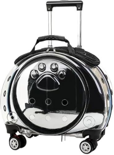 RutexcybgLAZbgALpobNpbN+pxr[J[ZbgALƌɓKĂÅOoⒷAɓKĂA܂肽݉\AʋCASxg𑕔AeʁAyʂőϋvAprLłB