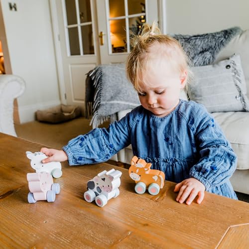 My First Wooden Toy Cars, Sheep Push Toy Animal Vehicles - Wooden Toys 1 Year Old, Baby and Toddler Toys - Fun Educational Small World Toys, Early Development & Activity Toys by Orange Tree Toys - Image 2