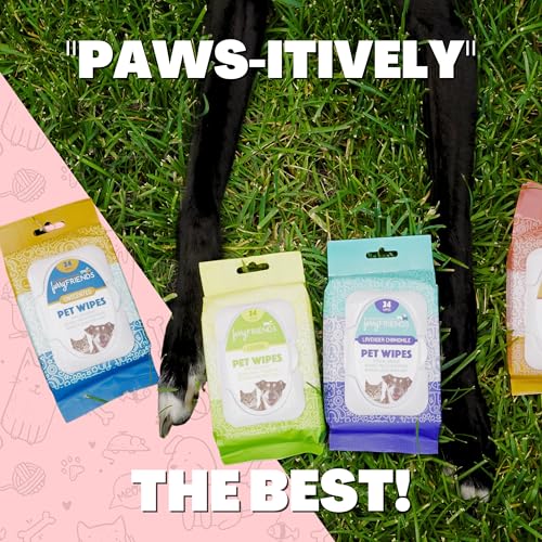 FurryFriends Pet Wipes | Strawberry | Hypo-allergenic | Alcohol Free| Deodorizing | Removes Loose Hair & Dirt | Incredibly Clean | 200 ct. 1 Pack — view 6