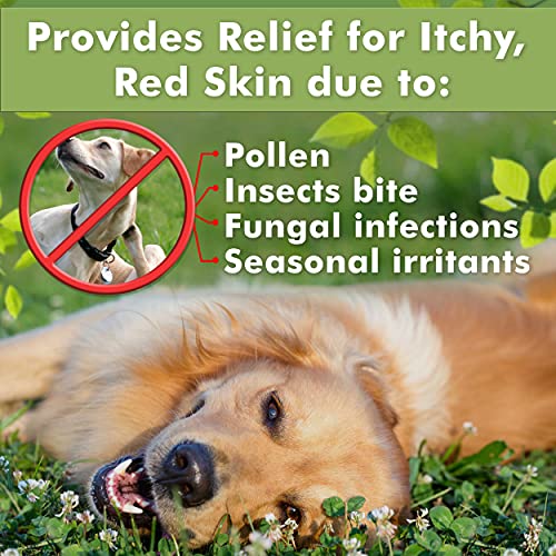 dog sweaters for medium dogs