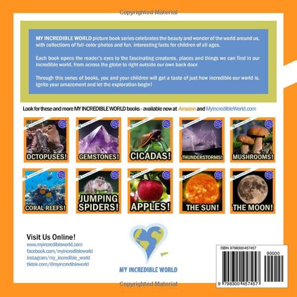 Animals of Australia!: A My Incredible World Picture Book for Children (My Incredible World: Nature and Animal Picture Books for Children) - Image 2