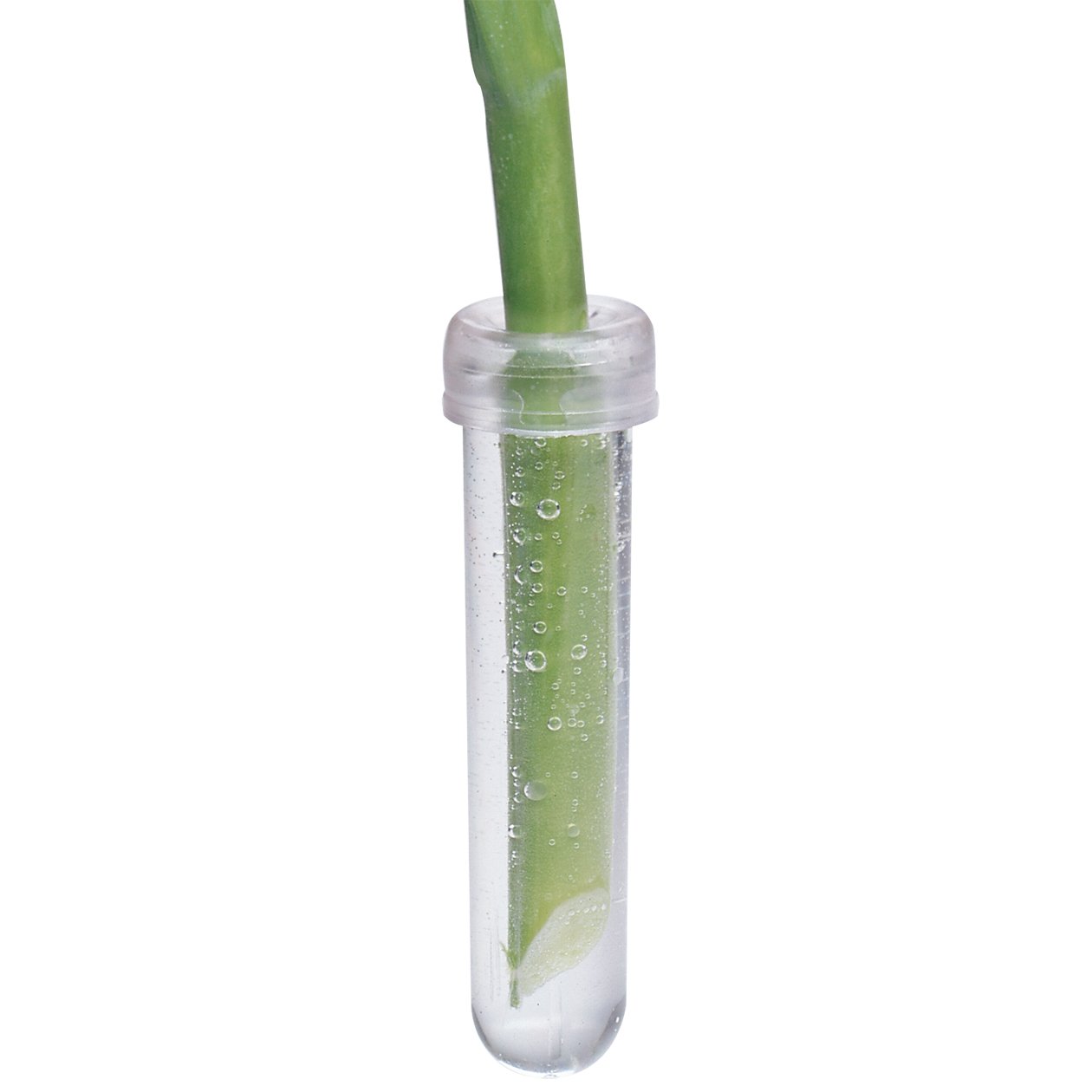 Syndicate Sales4" Aquatube, Clear, Bag of 100