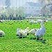 VEVOR Electric Poultry Netting, 48