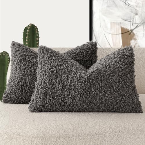 Image of Foindtower Set of 2 Curly Teddy Wool Pillow Covers Decorative Boucle Textured Lumbar Throw Pillow Faux Fur Sherpa Pillowcases Sheepskin Fuzzy Cushion Case for Sofa Bedroom Car 12 inchx20 inch Dark Gray