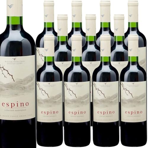 GXsmEJxlE\[Bj (B[jEEBAEtF[E`) Espino Cabernet Sauvignon (Vina William Fevre Chile) `/}C|E@[//t{fB/750ml (12{)