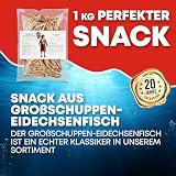 Großschuppen Eidechsenfisch 1kg - Fisch Jerky I High Protein I Snacks I Trockenfisch Omega 3 I Beef Jerky , Trockenfleisch & Chips Alternative
