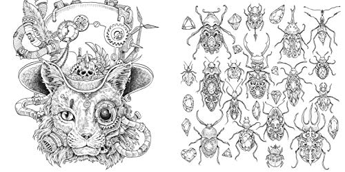 Colourmorphia: Celebrating Kerby Rosanes' Colouring Challenges