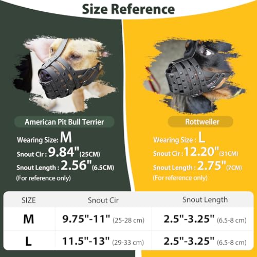 Image of Mayerzon Pitbull Dog Muzzle for Large Medium Dogs Prevent Biting Scavenging | Fits Rottweiler Amstaff Broad-nosed Breed, Sturdy Breathable Basket, Training Walking Use, Allows to Drink | Green, M