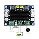 Hailege 2pcs TPA3116 100W Power Amplifier Board DC 12V 24V TPA3116DA Mono Channel Digital Stereo Audio Amplifier Board High Power AMP Module