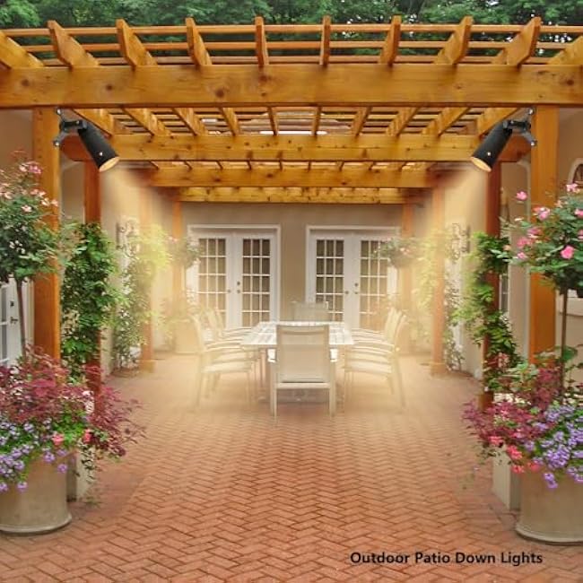 Landscape Lighting Low Voltage Tree Lights Outdoor Moonlights Tree Down Lights 12 AC/DC Surface Mounted Lights,Replaceable MR16 LED Bulb Included Black Finish Aluminum Material