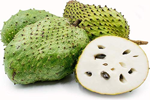 Annona-Muricata-Soursop | Homeopathic | Best Homeopathic Doctor in Pakistan | Dr Qaisar Ahmed MD, DHMS