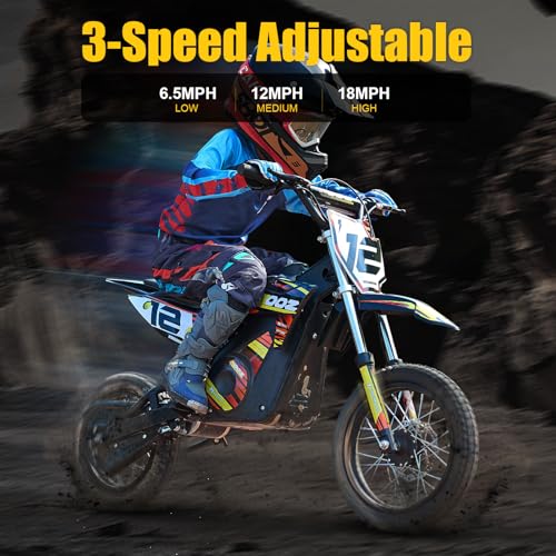 KOOZ HP112E 1000W Electric Dirt Bike