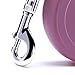 FLEXI New Classic Retractable Dog Leash (Tape), 10 ft, Extra Small, Pink