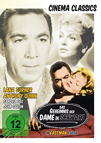 Preisvergleich Produktbild Das Geheimnis der Dame in Schwarz