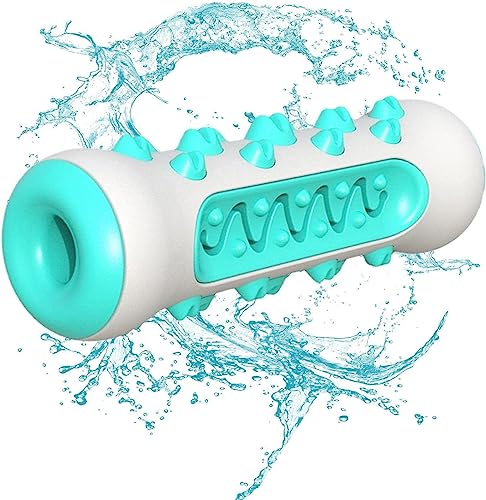 ̎uV̂ | q̎𚐂̂ - ̉P̂Aq̎uV̂A^^p̃C^NeBuȌ̎̃N[jÔ