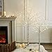 EAMBRITE 5FT 6FT White Birch Tree Set Christmas Tree Decorations, Lighted Artificial Twig Trees Outdoor Indoor, Prelit Tree with Timer & Light Dimmer for Home Porch Xmas Decor (2 Pack, Warm White)