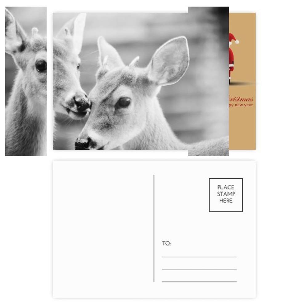 Cartes postales de Noël lot de 20 Organisme terrestre pour ne plus manquer de vœux