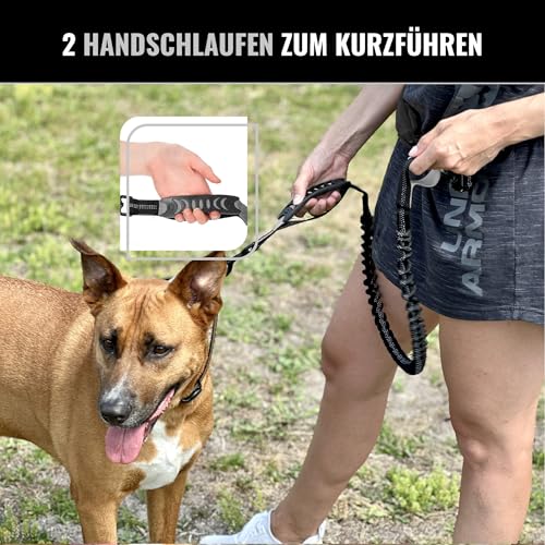 Barkswell Joggingleine Hunde mit Bauchgurt zum Laufen, Joggen, Wandern - Bauchgurt Hundeleine mit 2 Taschen für Wertsachen. - Freihandleine Hund für Grosse und Mittelgroße Hund