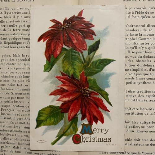 AeB[N |XgJ[h a̎s NX}X |CZ`A PCA0139