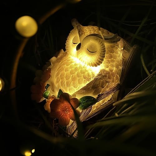 Amazon.com: LEAESMHR Solar Owl Figurine in Rocking Chair, Outdoor Owl ...