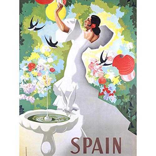 Wee Blue Coo Prints Travel Spain Flamenco Dance Bird Bath Fine Art Print Poster 30x40cm Viajar España Baile Pájaro Lámina Póster