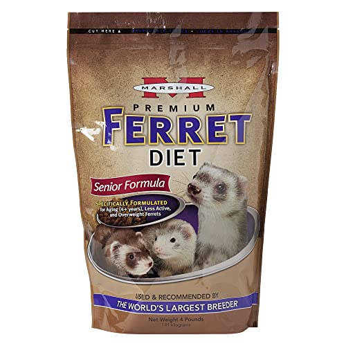 Top 10 Best Diet For A Ferret Reviews & Buying Guide Katynel