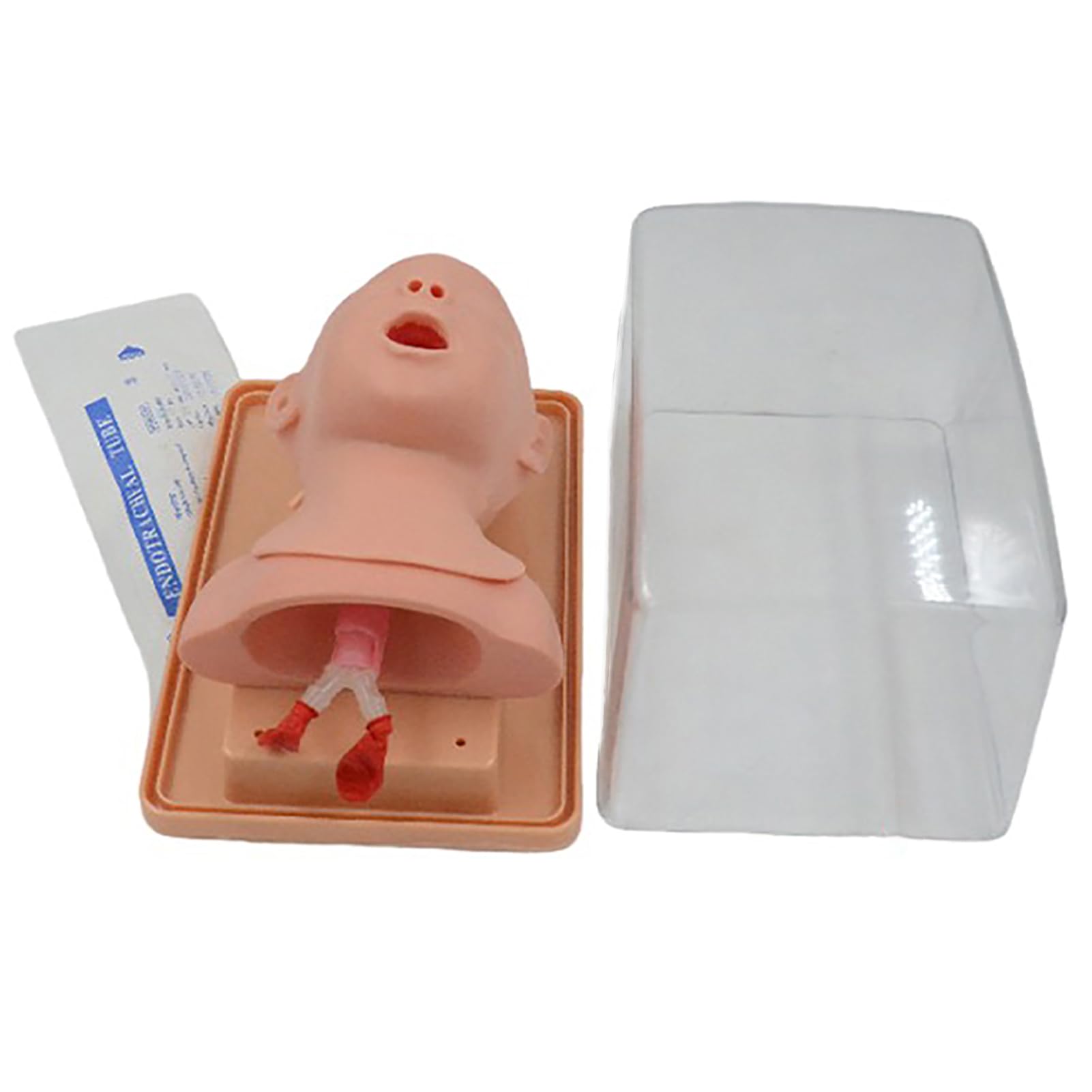 Manikin intubazione neonatale, Modello di addestramento intubazione tracheale pediatrico, simulatore Orale delle Vie aeree nasali