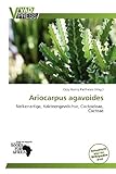 Ariocarpus agavoides: Nelkenartige, Kakteengewächse, Cactoideae, Cacteae
