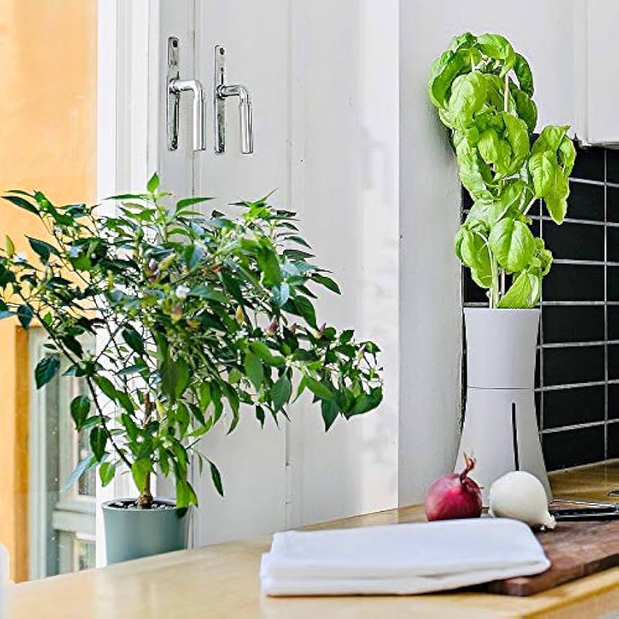 Amazon|BOTANIUM(ボタニアム) 水耕栽培キット ローレルグリーン|栽培 Amazon|BOTANIUM(ボタニアム) 水耕栽培キット ローレルグリーン|栽培