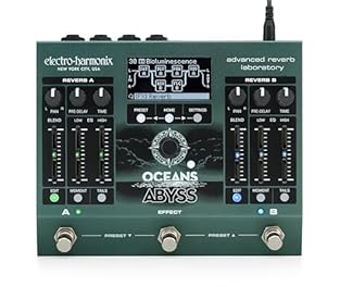 Delays/Echos/Reverb Effekte Gitarren We emphasise a balanced combination of careful workmanship and selected materials. OUR GOAL - Your satisfaction is our top priority and takes centre stage.