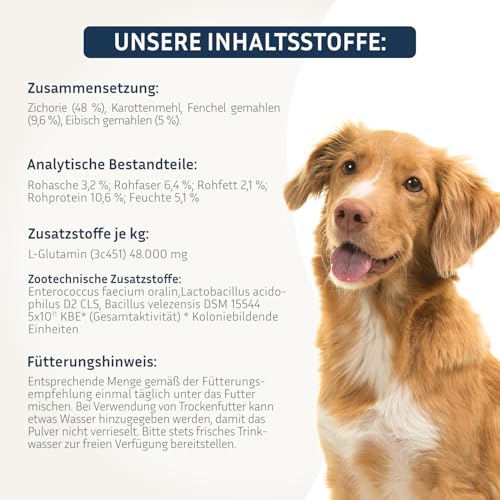PetFokus Darm Komplex für Hunde - Unterstützung der Verdauung, entzündungshemmend, Gelenkgesundheit und Gewichtskontrolle, ergänzend zur Nass-, Trocken- oder Rohfütterung - in Deutschland produziert