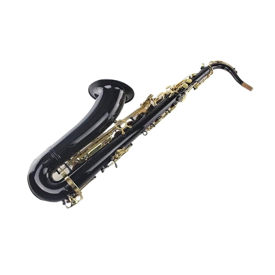 Amazon.co.jp: 表面に黒ニッケルゴールドの鍵盤を備えたB