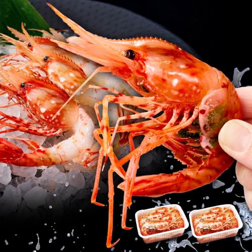 ێscX  {^CV 2LTCY 500g×Q q OCV ڂ񂦂 O {^Gr