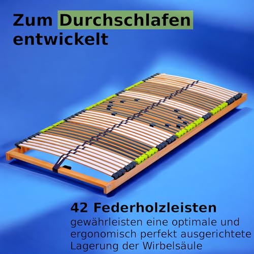 DaMi 7-Zonen Lattenrost Relax NV 100x200cm I mit 6 Härtestufen, Made in Germany, Buche & Birke, 42 Federholzeisten, Bett Lattenrahmen zur Selbstmontage, Bettrost extrem hochwertig & stabil – Bild 4