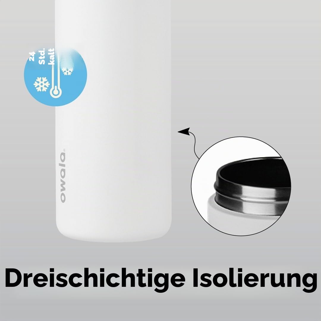 Owala FreeSip Isolierte Edelstahl-Wasserflasche mit Strohhalm für Sport und Reisen, BPA-frei, 680 ml, Grau/Grün (Neo Sage)