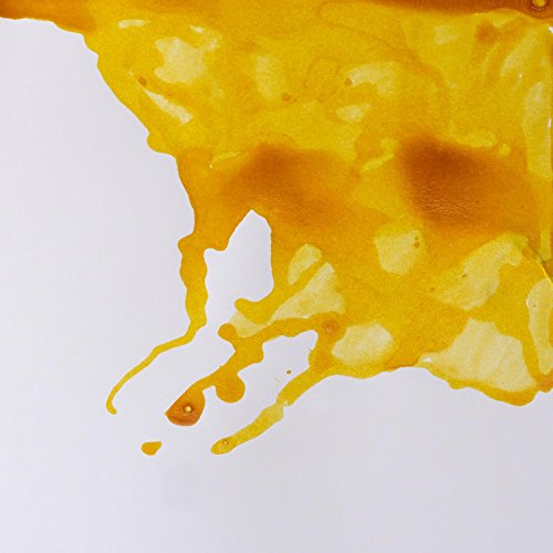Image of Winsor & Newton Drawing Ink 14 ML - Canary Yellow (123), Fast Drying, Transparent, Water-Resistant & Intermixable Inks, Ideal for Brush, Dip Pen or Air Brush - More Colours Available