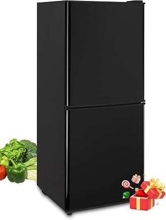 F.W.WOOLWORTHS 4.0 Cu.Ft Refrigerator with Freezer, 2 Doors Fridge with Adjustable Thermostat Control, Refrigerator for Kitchen, Dorm, Apartment, Garage, Office, Black