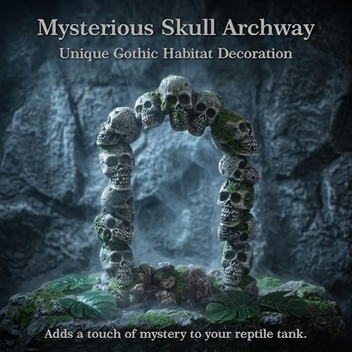 Image of relaqcc Aquarium Skull Cave Rocks, Reptile Tank Accessories, Fish Tank Decorations for Amphibians, Betta Fish, Shrimp, Hermit Crab, Leopard Gecko