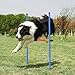 ANC POP Dog Agility Training Equipment Pet Obstacle Training Course Kit Dog Outdoor Games with Tunnel, Adjustable Hurdle, Pause Box, Toys and Carrying Bag