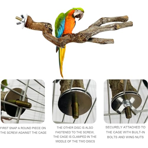 Image of 5PCS Parrot Perch Stand Natural Wooden Bird Stand Branch 3 Grape Wood Perch 2 Stand Paw Grinding Fork Parakeet Chewing Stick Exercise Training Branches for Small Birds Cockatiels