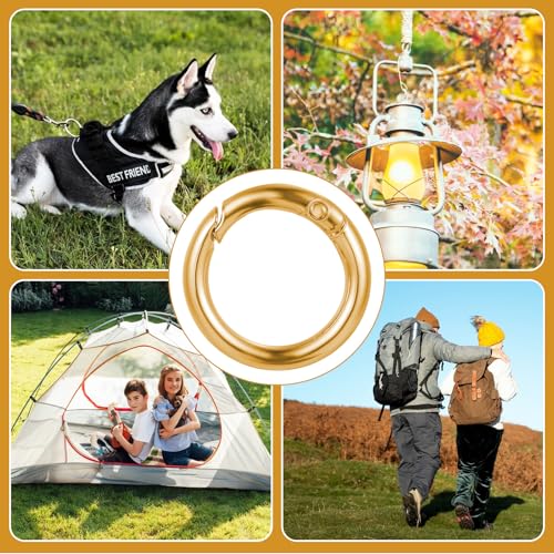 Ouligay 10 Stück Rund Karabiner 35mm O Ring Karabiner Runde Karabinerhaken Klein Schlüsselring Gold Metall Key Ring Clip Schlüsselbund Zubehör für Taschen Bastelarbeiten Handwerk Machen
