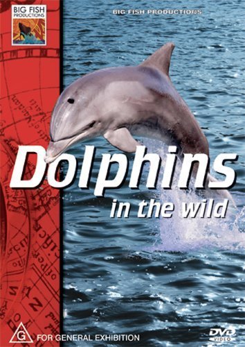 Dolphins in the Wild by John Sweetman