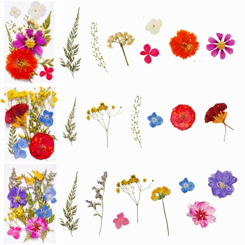 112 piezas flores secas prensadas para manualidades miniatura 4